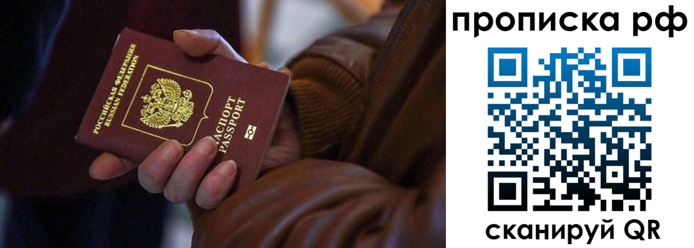прописка 2025 в Сельцо