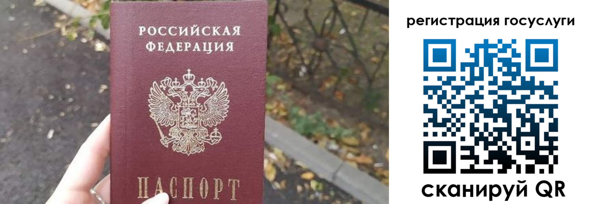 купить прописку в Сельцо